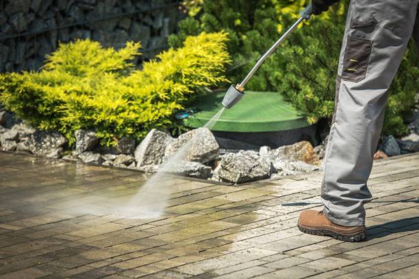 Best Solar Panel Cleaning  in Warren, OR
